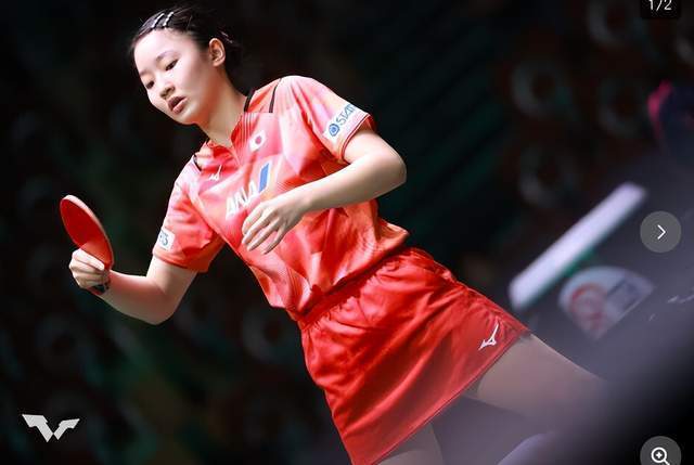 打下了基础 打下了基础